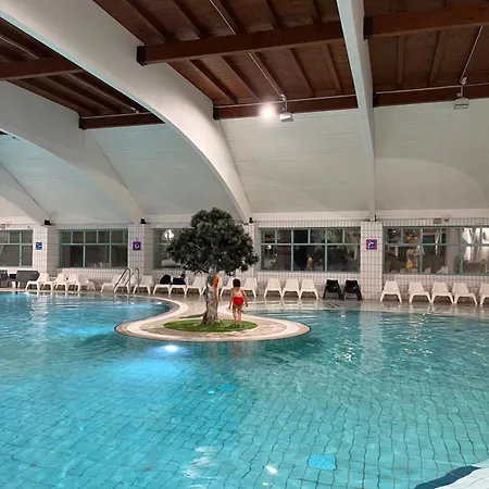 Mirni Koticek * 카테즈 옵 사비